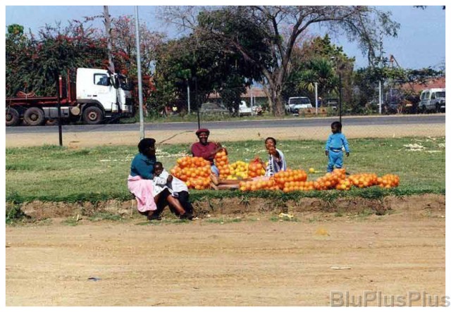 Original image