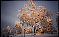 Click to see Finlande_95_96_0003 