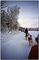 Click to see Finlande_95_96_0005 