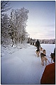 Click to see Finlande_95_96_0026 