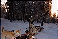 Click to see Finlande_95_96_0027 