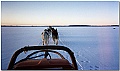 Click to see Finlande_95_96_0033 