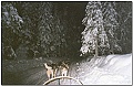 Click to see Finlande_95_96_0057 