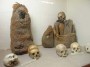 AMS116 NOS ANCETRES