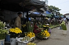 Click to see Danang_0007