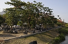 Click to see Danang_0022