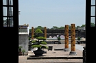 Click to see Hue_0023
