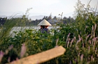 Click to see Nha Trang_0025