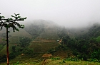 Click to see Sapa_0014