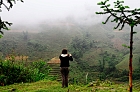 Click to see Sapa_0015