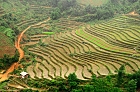 Click to see Sapa_0018
